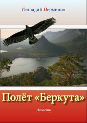 Взлет «Беркута»