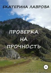 Проверка на прочность