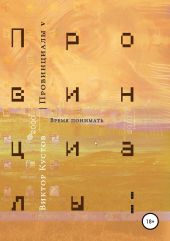 Провинциалы. Книга 5. Время понимать