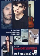 Мой странный друг. Том 1. Книга пламени