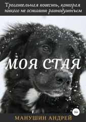 Моя Стая