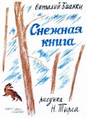 Снежная книга