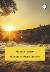 Медведь по имени Заплатка, или Новые приключения Витьки Картошкина и его верной команды