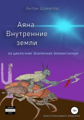 Аяна. Книга 1. Внутренние земли. Из цикла книг «Вселенная Элементалиум»