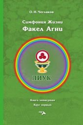 Симфония жизни. Факел Агни. Книга четвертая. Круг первый