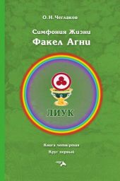 Симфония жизни. Факел Агни. Книга четвертая. Круг первый