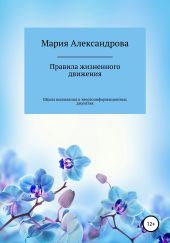 Правила жизненного движения, или школа выживания в энергоинформационных джунглях