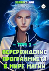 Перерождение Программиста в Мире Магии. Том 1