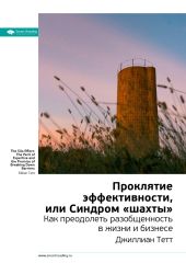 Краткое содержание книги: Проклятие эффективности, или Синдром «шахты». Джиллиан Тетт