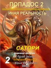 Сатори 2