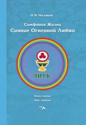 Симфония жизни. Сияние Огненной Любви. Книга пятая. Круг первый