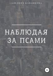 Наблюдая за псами