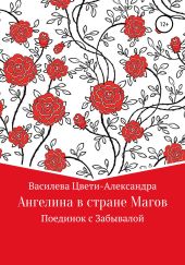 Ангелина в стране магов. Поединок с Забывалой. Книга 1