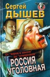 Россия уголовная. От воров в законе до отморозков