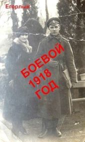 Боевой 1918 год