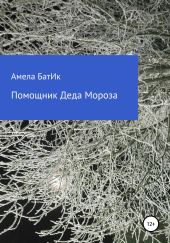 Помощник Деда Мороза