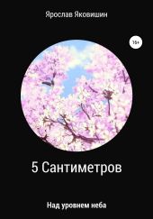 5 Сантиметров над уровнем неба