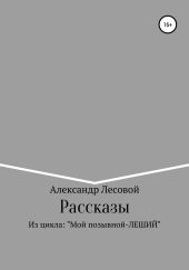 Рассказы из цикла: «Мой позывной Леший»