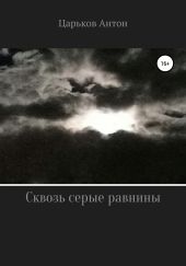 Сквозь серые равнины