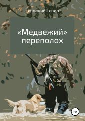 «Медвежий» переполох