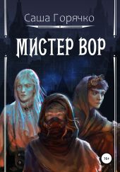 Мистер вор