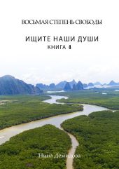 Восьмая степень свободы. Книга 4. Ищите наши души