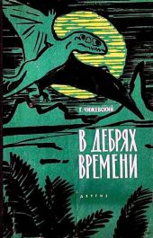 В дебрях времени