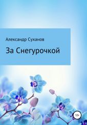 За Снегурочкой