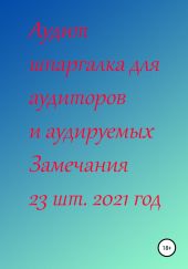 Аудит шпаргалка для аудиторов и аудируемых. Замечания 23 шт. за 2021 год