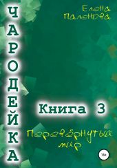 Чародейка 3: Перевёрнутый мир