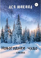 Новогоднее чудо