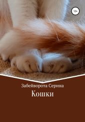 Кошки