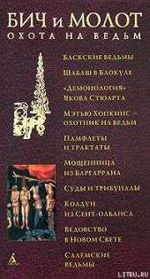 Бич и молот. Охота на ведьм в XVI-XVIII веках (с иллюстрациями)