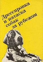 Выращивание, воспитание, дрессировка и натаска охотничьей собаки за рубежом