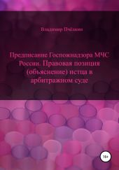 Предписание Госпожнадзора МЧС России. Правовая позиция (объяснение) истца в арбитражном суде