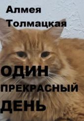 Один прекрасный день