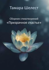 Сборник стихотворений «Призрачное счастье»