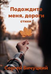 Подождите меня, дороги