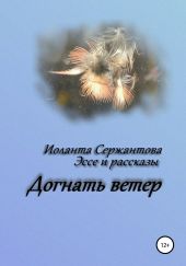 Догнать ветер