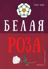 Белая роза