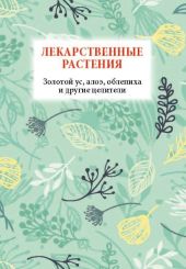 Лекарственные растения. Золотой ус, алоэ, облепиха и другие целители