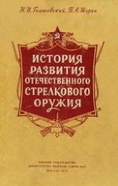 История развития отечественного стрелкового оружия
