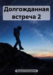 Долгожданная встреча 2