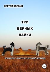 Три верных лайки. Рассказы о собаках и русской природе