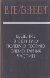 Введение в единую полевую теорию элементарных частиц