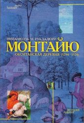 Монтайю, окситанская деревня (1294-1324)