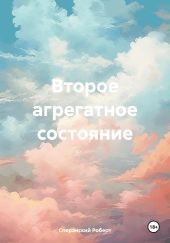 Второе агрегатное состояние