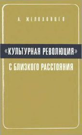 «Культурная революция» с близкого расстояния. (Записки очевидца)