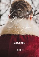 Бирюзовый господин. Книга 4