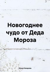 Новогоднее чудо от Деда Мороза